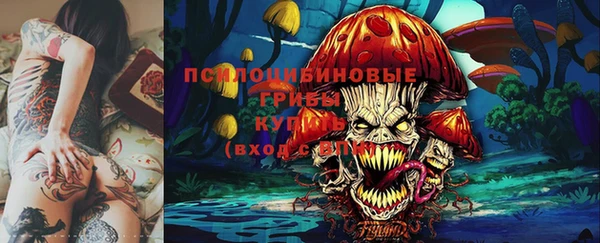 мет Гусиноозёрск